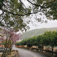 ��ã���������Ͳ˻���