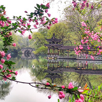 ����ԡ����