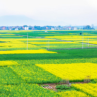 ����ͩ��