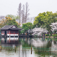 ��Ժ���ӣ����