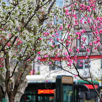 ��ͷ����