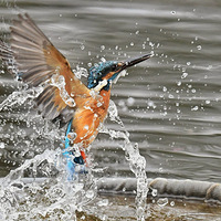 �����ˮ����