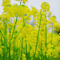 �Ͳ˻����ˣ��������Ϣ���������