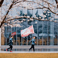 �Ծ�������