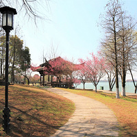 ��������磨�£�