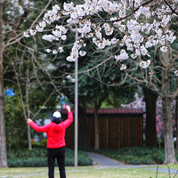 ��԰����˶�