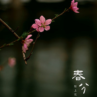 ����޹��������������ʵ������