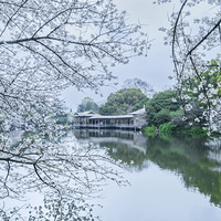 ���۹�԰��ӣ������������