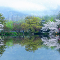 ����������