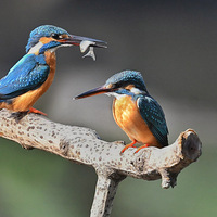 ���մ��֡�����ļ���ϷҲ�������ˡ�