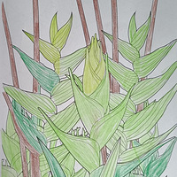 �������ʴ򿨣�