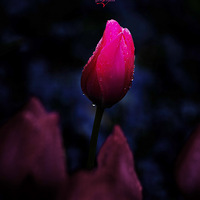 ̫����������㻹����ô�ڰ���һ��