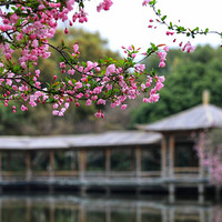 ��ȡ���⣬����һ�룬Ī���񳯡�