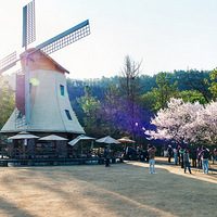 ̫���崺��