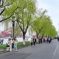 ���������׵̣��˼�����  2023.03.21