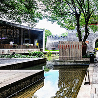 ����֮��ɫ264-��������ɢƬ1