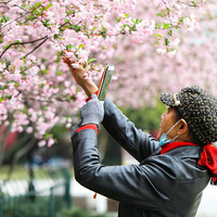 ���Ļ�������Ǭ��÷��֦ͷ�Ѵ��ᡣ