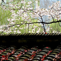 ��ͷ�Ĵ���