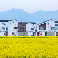 �㽭��ũ��䷶ �� �����ش�