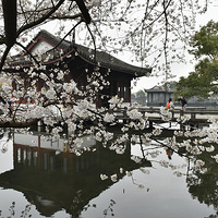 ��Ժӣ������