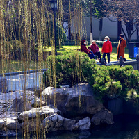 ��������