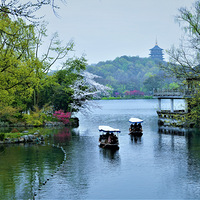 ���۴�ɫ������