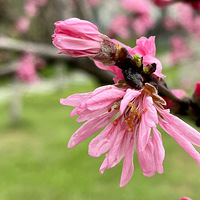 �����һ�