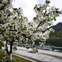 �°����ߵ�ӣ��