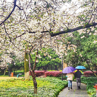 ���괺���ʹ���