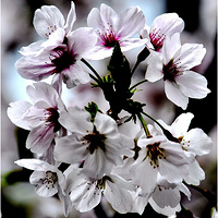 ��������5