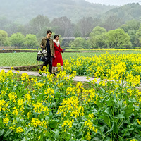 ��������Ͳ˻��Ǵ����ζ��  2023.03.22