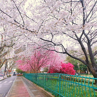 ���ִ���