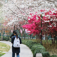 �ѹ����ִ���ȥ