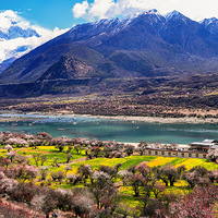 ��֥���һ�