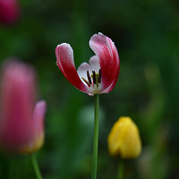 ���������㡣