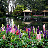 ���ϵ����ǲ�˵��  ���ϵ�����������