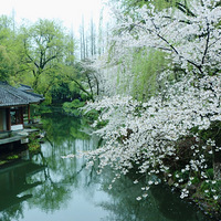 �������£�ֻΪ��æ��