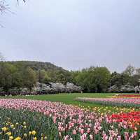 ��������-̫�����μ�