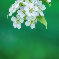 �滨��ʱ���������������ϴ����������������µ�����