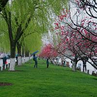 ����������