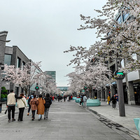 ����·�ߵ�ӣ�������Ư���ˣ�  2023.03.26