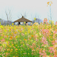 �߲ʽ��ϣ��߲��Ͳ˻���