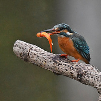 ץ�����κ��㣬�������Ρ���֪����ɵ���ǲ�ϲ����