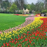 ��ɫ��̫���幫԰