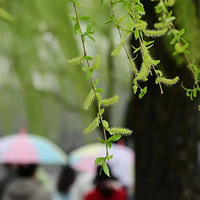 ˮ���Ǻӣ����ι�ȥ���Ե���������ڹ������֮����