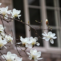 ǧ�滨�䣬��������ס��