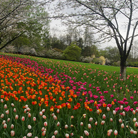 ����̫����֮��