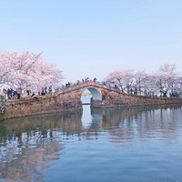 ̫�����Ѵ�