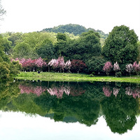 �һ�����