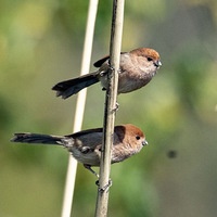 �������꣬������ȥӵ������Ȼ��������